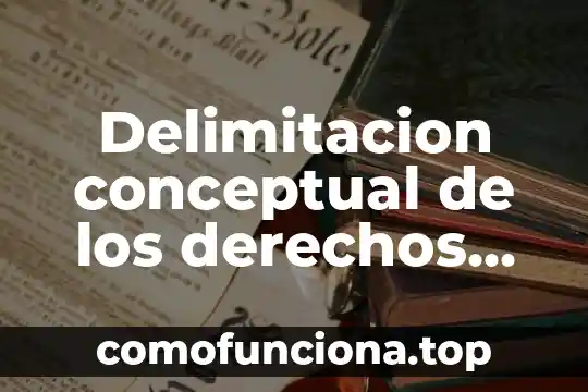 Que es una persona con delimitacion 7 Delimitacion conceptual de los derechos humanos que es