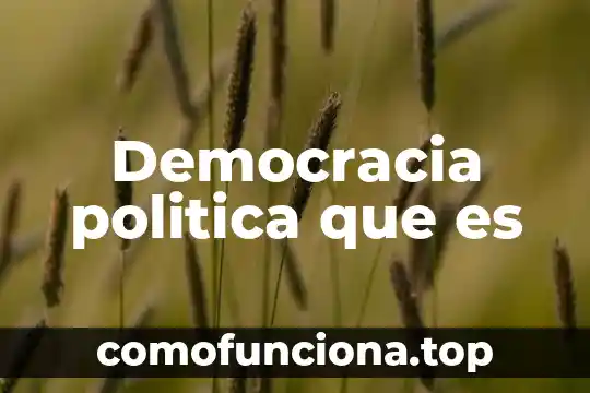Que es la democracia segun carlos arriola 4 Democracia politica que es