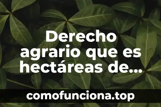 Que es el sistema agrario evolucionado 3 Derecho agrario que es hectáreas de temporal