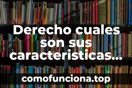 Que es el arte y cuales son las bellas artes 3 Derecho cuales son sus caracteristicas exterioridad bilatereridad y que es