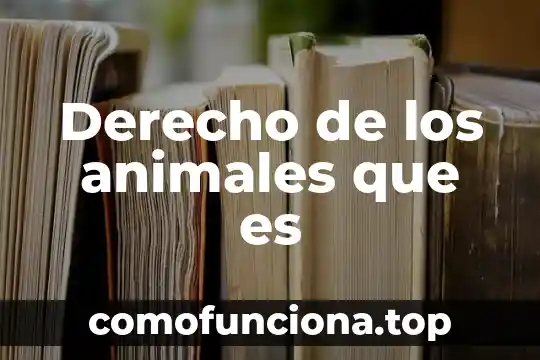 Que es hombre sociedad y derecho 5 Derecho de los animales que es