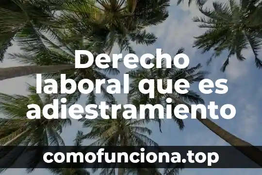 Que es el principio de equidad en derecho laboral 7 Derecho laboral que es adiestramiento