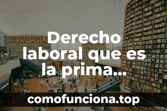 Qué es materia prima definición 6 Derecho laboral que es la prima vacacional