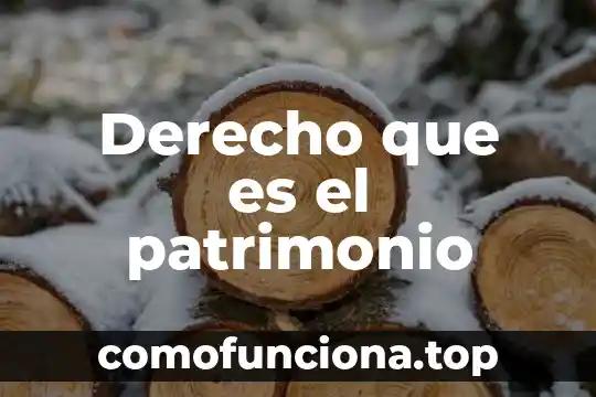 Que es y cual es la funcion del falange proximal 8 Derecho que es el patrimonio