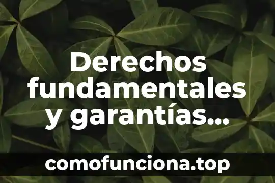 Derechos a la justicia y lo que es 6 Derechos fundamentales y garantías que es