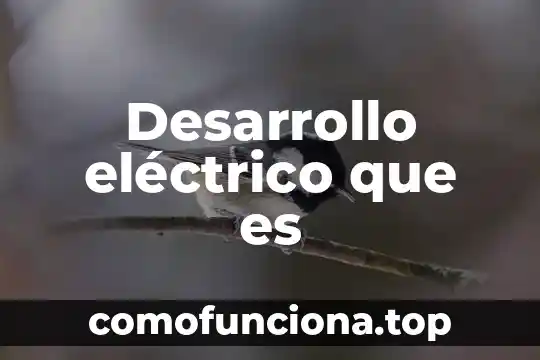 Que es el arte urbano resumen 3 Desarrollo eléctrico que es