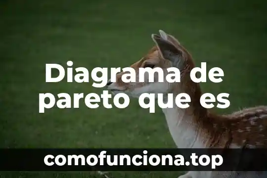 Que es el diagrama de espiral 5 Diagrama de pareto que es