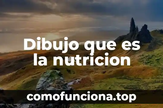 Qué es la fibra nutrición animal 3 Dibujo que es la nutricion