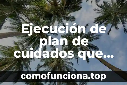 Cuidados de planta que es un palo 5 Ejecución de plan de cuidados que es