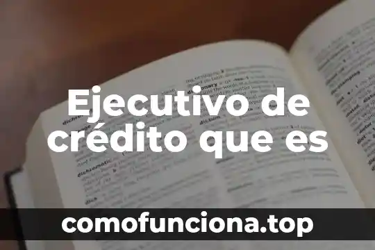 Que es una sociedad de credito nacional 3 Ejecutivo de crédito que es