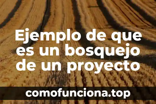 Qué es el bosquejo del método de investigación 8 Ejemplo de que es un bosquejo de un proyecto