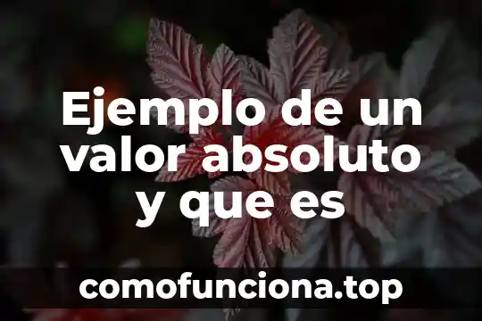 Que es la conciencia y la relacion con lo absoluto 3 Ejemplo de un valor absoluto y que es