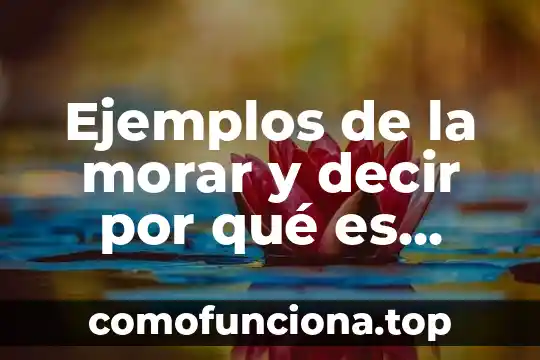 Qué es el movimiento artístico ejemplos 5 Ejemplos de la morar y decir por qué es moral