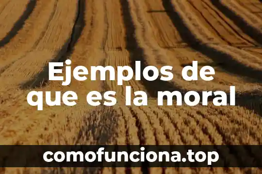 Explique que es un problema moral 7 Ejemplos de que es la moral