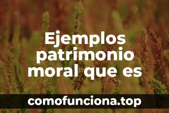 Que es el pensamiento creativo ejemplos del pensamiento 7 Ejemplos patrimonio moral que es