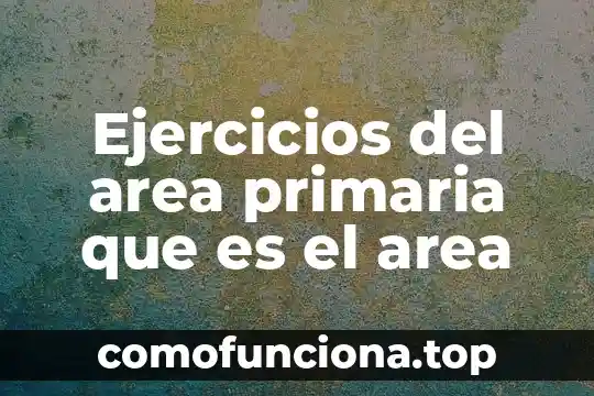 Que es el division y el significado primaria 6 Ejercicios del area primaria que es el area