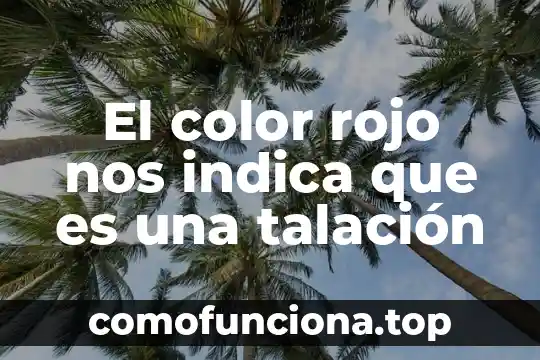 Que es proteina y para que nos sirve 4 El color rojo nos indica que es una talación