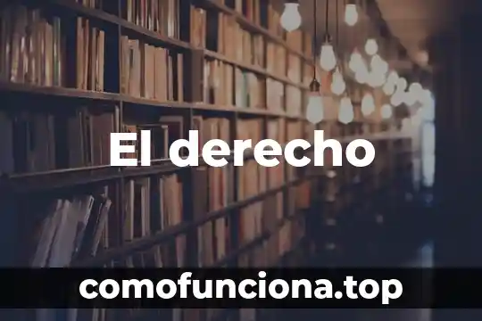 Que es hombre sociedad y derecho 8 El derecho