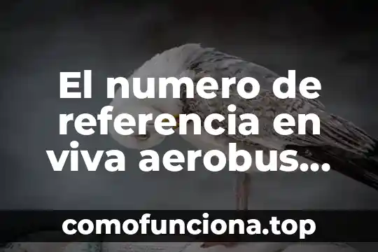 Número de BIOT que es 6 El numero de referencia en viva aerobus que es