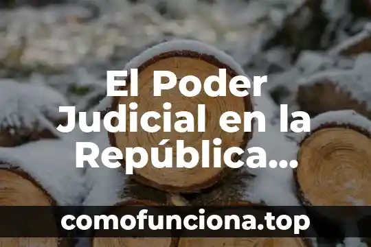 Que es el territorio en la identidad nacional mexicana 7 El Poder Judicial en la República Mexicana
