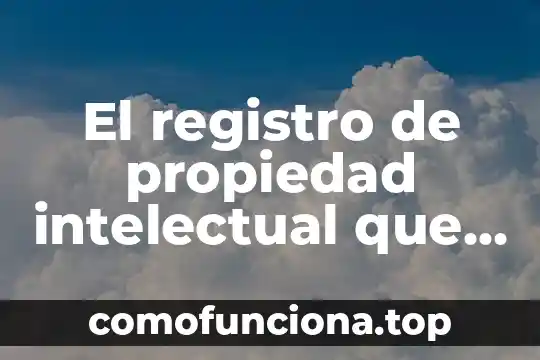 Qué es el instrumento registro anecdótico 3 El registro de propiedad intelectual que es