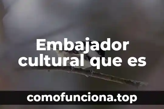 Que es elegado cultural 6 Embajador cultural que es