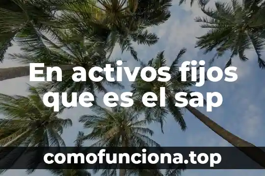 Control de activos fijos que es 8 En activos fijos que es el sap