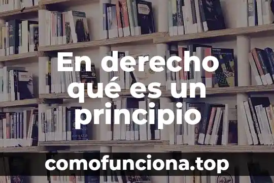 Derecho a la infancia que es 5 En derecho qué es un principio