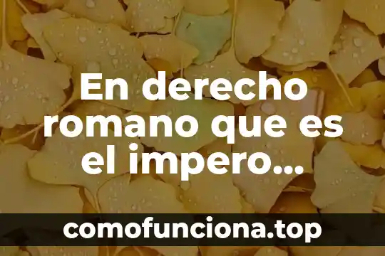 Que es el conocimiento absoluto 6 En derecho romano que es el impero absoluto o dominato