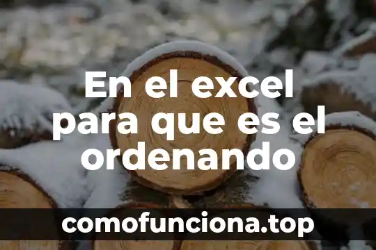 Que es censura significado 6 En el excel para que es el ordenando