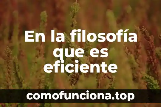 Que es un subcomponente de u sistema distribuido 8 En la filosofía que es eficiente