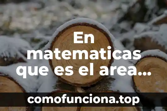 Qué es quilates concepto matemáticas 5 En matematicas que es el area sombreada