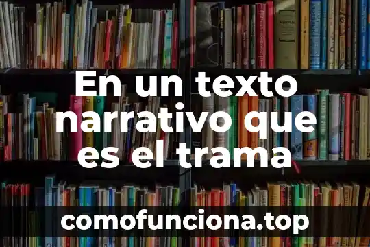 Plan trama que es 3 En un texto narrativo que es el trama
