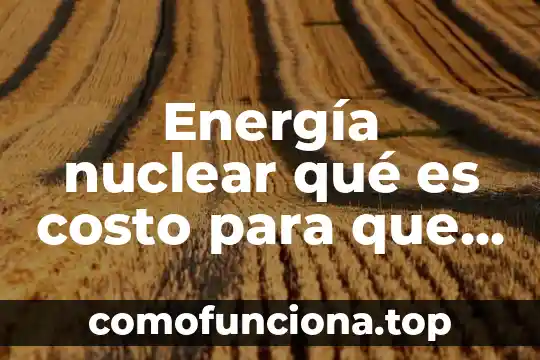 Que es el nucleo de una planta nuclear 8 Energía nuclear qué es costo para que se utiliza