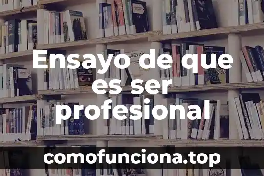 Que es un ser profesional 4 Ensayo de que es ser profesional