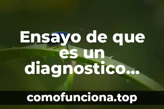 Que es un ensayo y como hacer uno 3 Ensayo de que es un diagnostico lean