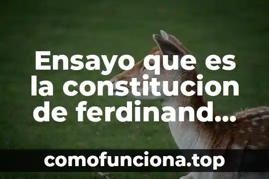 Ferdinand lasalle que es una constitucion resumen 4 Ensayo que es la constitucion de ferdinand lassalle