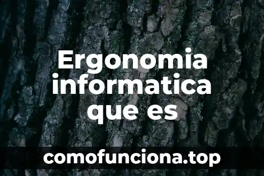 Que significa o que es un multipexados en informatica 8 Ergonomia informatica que es