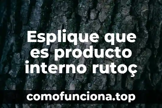 Que es un producto perro vaca estrella e incognita 8 Esplique que es producto interno rutoç