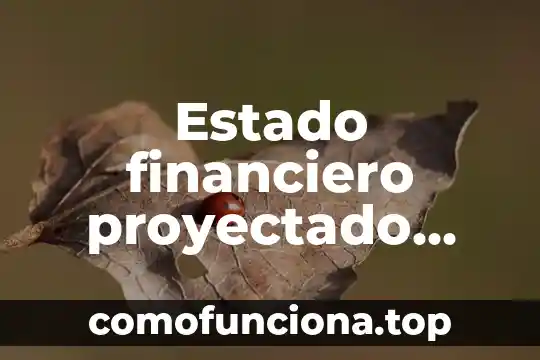 Que es ser asesor financiero 6 Estado financiero proyectado que es