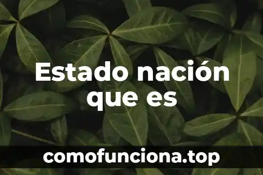 Que es la nacion cosmopolita 3 Estado nación que es