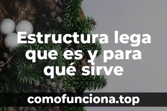 Que es la cajita de información 4 Estructura lega que es y para qué sirve