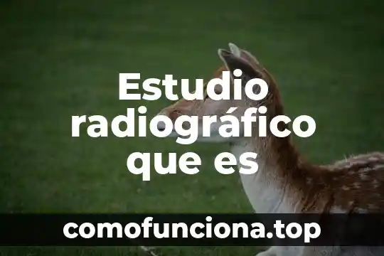 Estudio de tiempo y estándares de producción que es 3 Estudio radiográfico que es