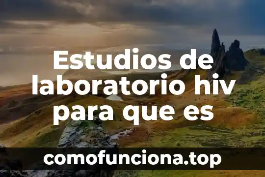 Que es lic en estudios socioterritoriales 7 Estudios de laboratorio hiv para que es
