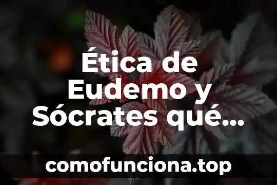Qué es la filosofía según Sócrates 6 Ética de Eudemo y Sócrates qué es