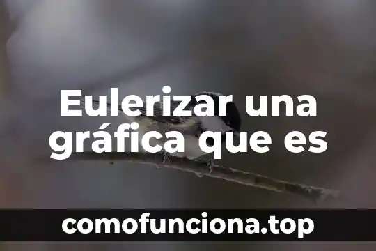 Crear gráfica gantt que es 5 Eulerizar una gráfica que es