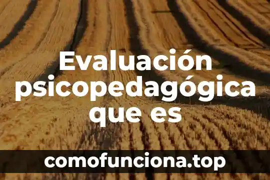 Que es la evaluacion significado 4 Evaluación psicopedagógica que es