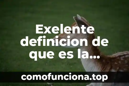 Que es identidad social definicion 8 Exelente definicion de que es la neuropedagogia