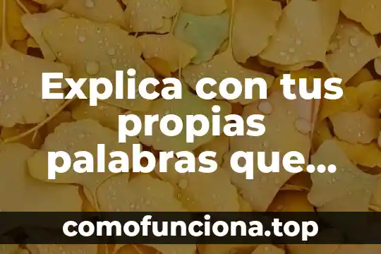 Que es el ser humano con tus propias palabras 4 Explica con tus propias palabras que es una cuenca hidrográfica