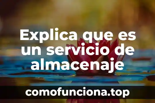 Que es y cual es la funcion del falange proximal 7 Explica que es un servicio de almacenaje